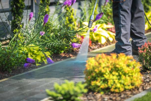 Best Patio and Deck Pressure Washing  in Whiteville, NC