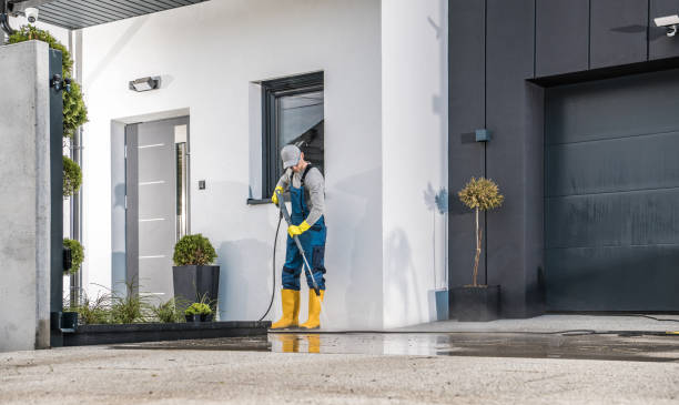 Best Soft Washing  in Whiteville, NC